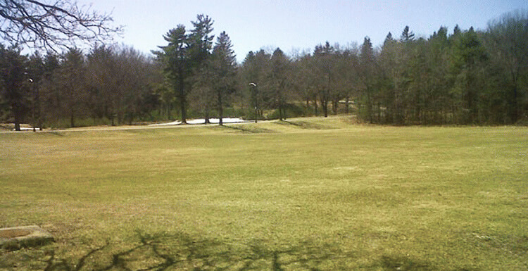 15 Buena Vista Street Photo