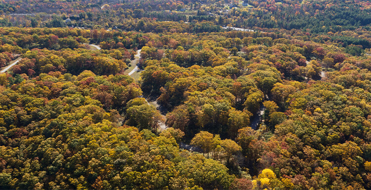 Salerno Circle Photo